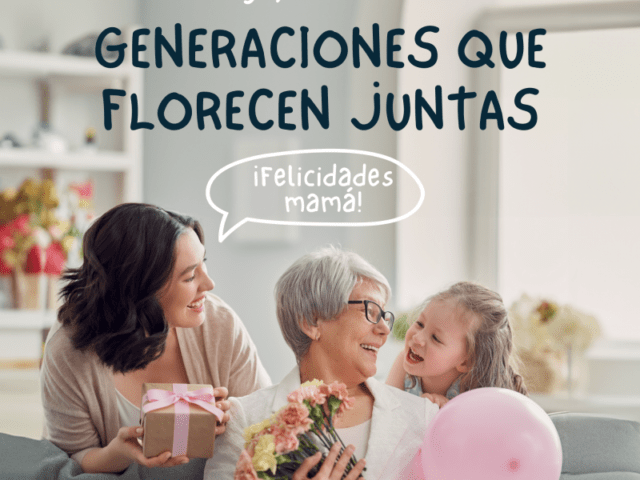 Las mejores flores para regalar el día de la madre