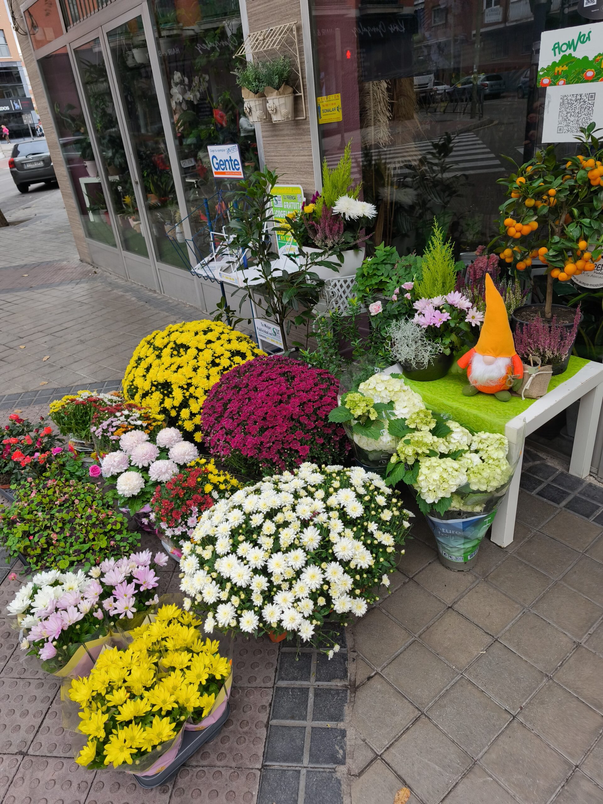 Floristería Edén: Tu Floristería de Confianza en Móstoles