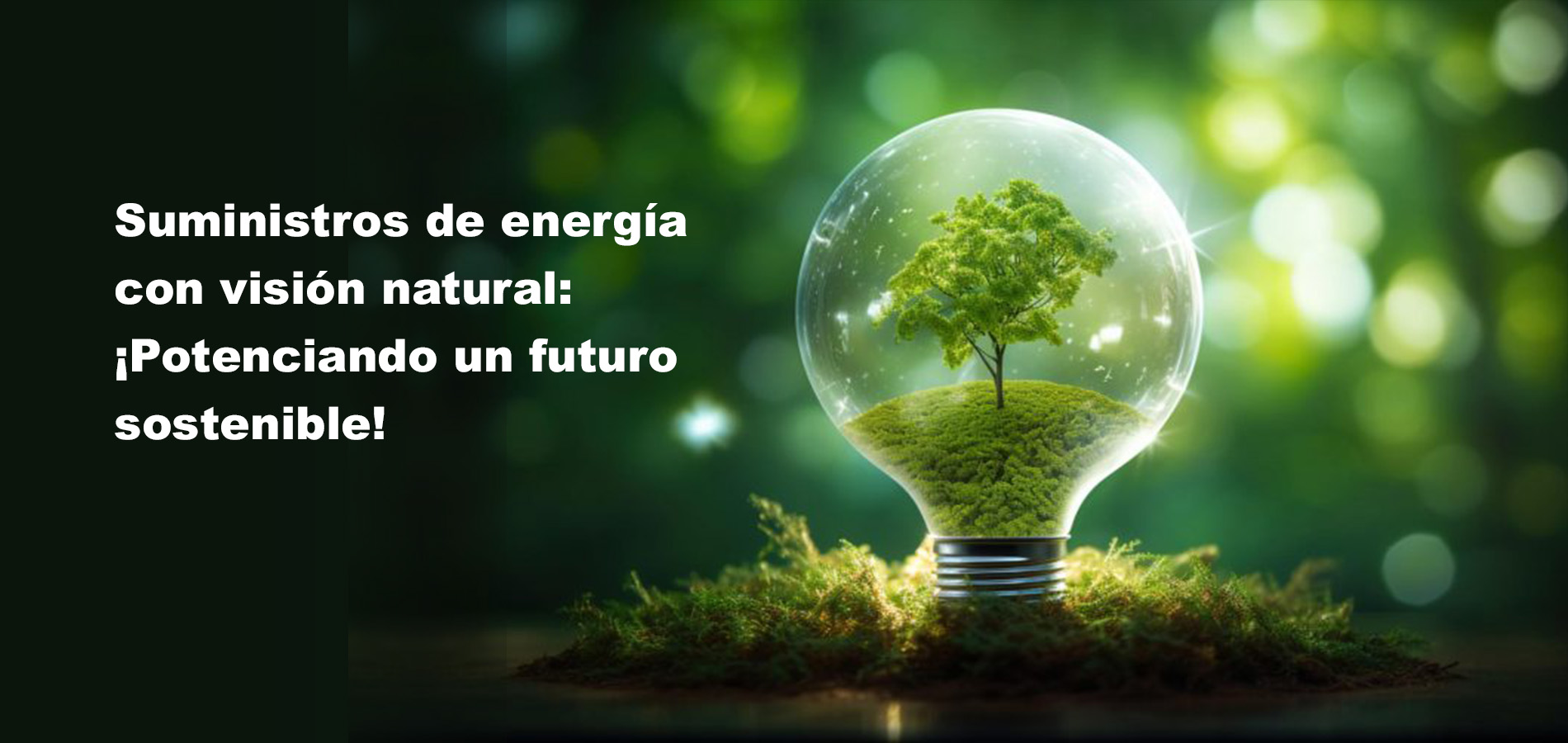 Optimiza tu consumo energético con ArroyoAstur: Asesoría experta para ahorrar